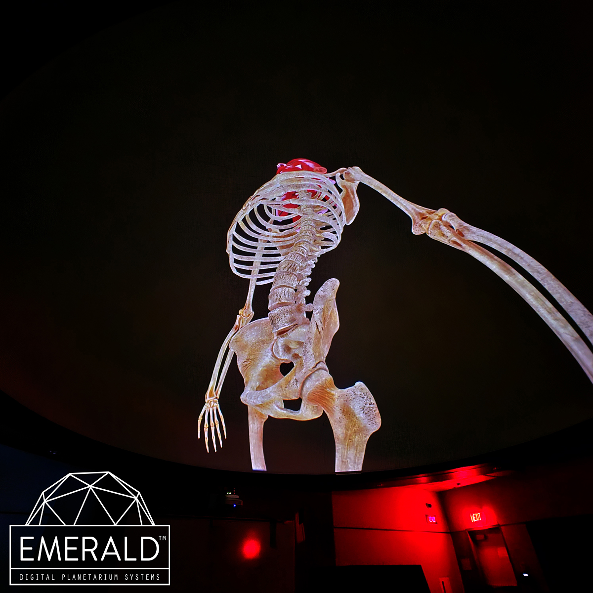Emerald planetariums Biology